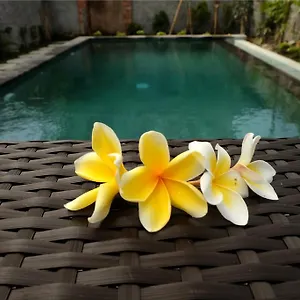 3* Gasthuis Eka Bali